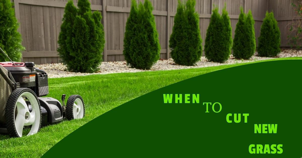 When to Cut New Grass