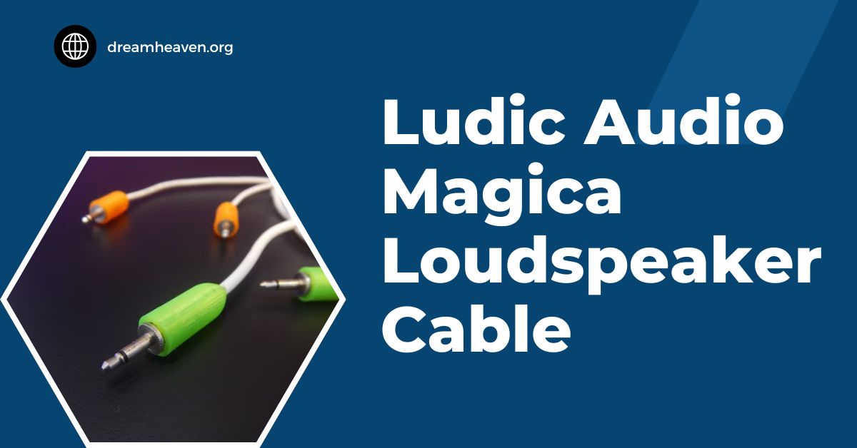 Ludic Audio Magica Loudspeaker Cable