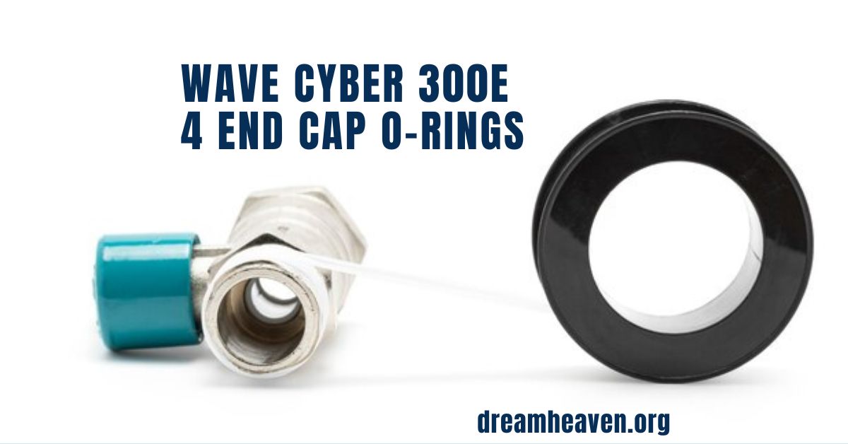 Wave Cyber 300E 4 End Cap O-Rings