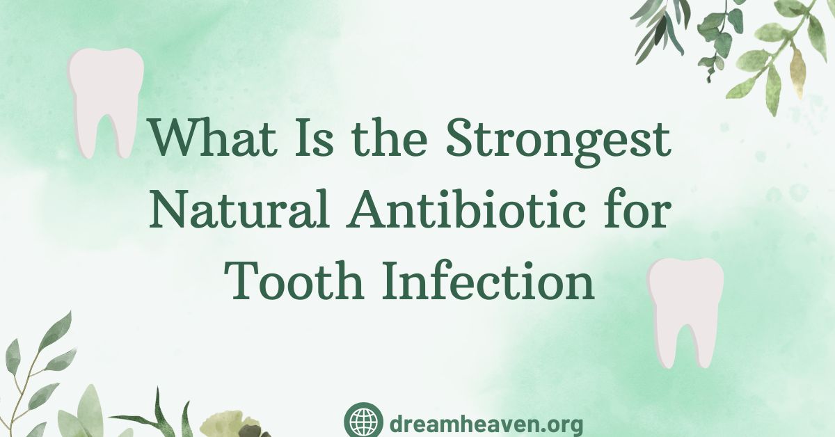 What Is the Strongest Natural Antibiotic for Tooth Infection