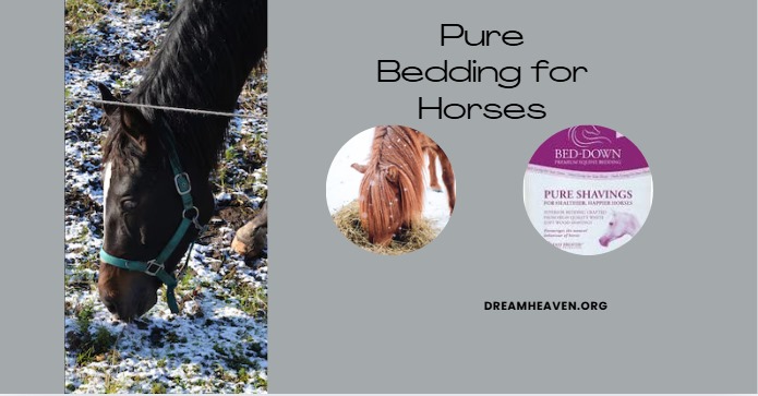 Pure Bedding for Horses